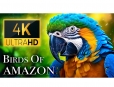 Thiết kế Thumbnail