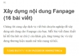 Quản trị Fanpage + Chạy quảng c&aacute;o Facebook