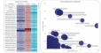 [Data Visualization] - Dựng Dashboard bằng PowerBI, Tableau, ...