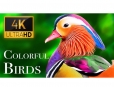 Thiết kế Thumbnail