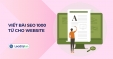Viết b&agrave;i seo 1000 từ cho website