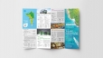 Thiết kế Brochure, Flyer...