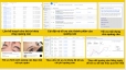 Thiết lập, tối ưu & Quản l&yacute; chiến dịch Google Ads - Tối ưu chi ph&iacute;