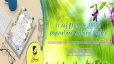 Thiết kế banner