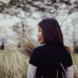 T. P. Dung
