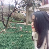 H. Trần