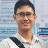 V. K. Duy