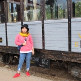N. H. Như