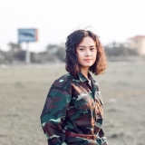 V. T. Linh