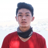 P. Tin