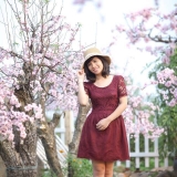 H. Phạm