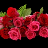 S. Sov