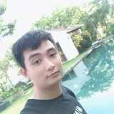 L. X. Binh