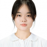 N. T. P. Anh