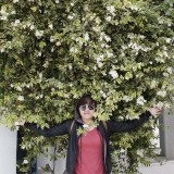 L. Huỳnh
