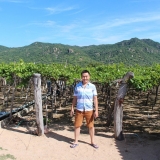 V. Nguyen