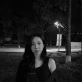 V. H. T. N. Thuy