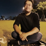 L. N. H. Anh