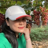 N. H. Thảo