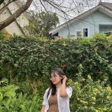 P. N. H. Yến