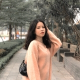 P. N. Luu