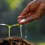 M. Win