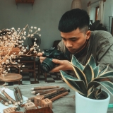N. T. Dương