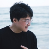 N. T. Ho&agrave;ng