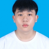 H. Nguyen