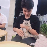 M. H. Dự