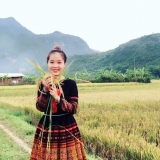 T. L. Nguyễn
