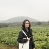 L. Vu