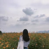 N. N. Anh