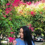 T. Phạm