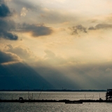 H. Quang