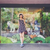 C. L. Anh