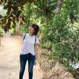 N. N. H. Trang