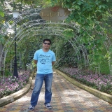 C. N. Phan