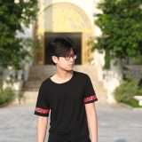 N. Q. Huy