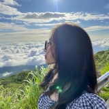 H. N. Minh