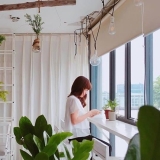 N. T. Hằng
