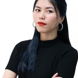 L. D. Hồ