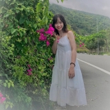H. Phan