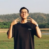 H. Nguyen
