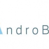 Androbear