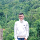P. H. Quang