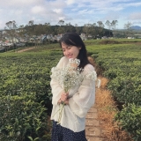 P. T. Mỹ Duy&ecirc;n