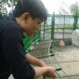 Cường
