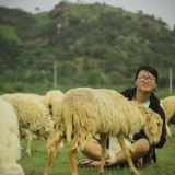 P. Nam