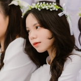 H. N. T. Vy